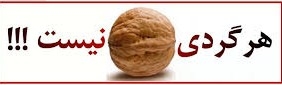 «۵ اشتباه رایج در انتخاب خدمات فنی مناسب برای سرویس لوازم خانگی شما» هر گردی گردو نیست