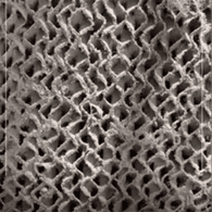 پد نیاز به تعویض دارد